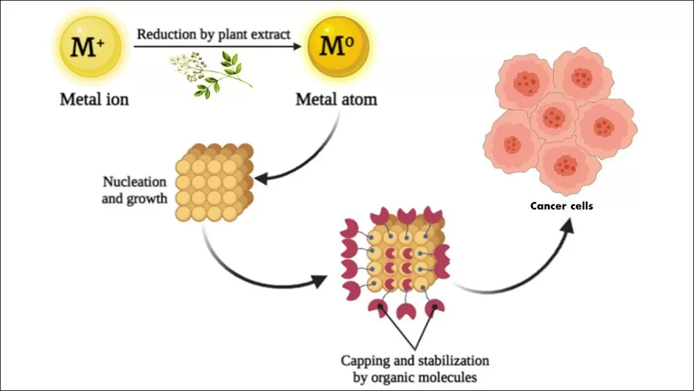 Anticancer potential of plant-based metal nanoparticles